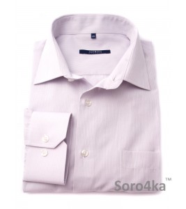 Сорочка Middle Fit Astron Purple Stripe