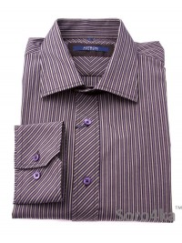 Сорочка Slim Fit Astron Dark Stripe