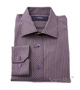 Сорочка Slim Fit Astron Dark Stripe