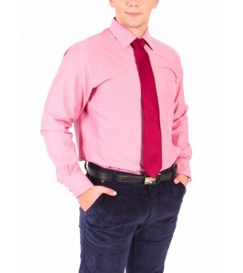 Сорочка Middle Fit Astron Red Narrow Stripe