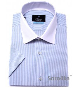 Голуба Сорочка на короткий рукав Slim fit Astron