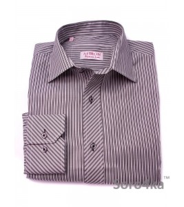 Сорочка Middle Fit Astron White&Grey Premier Stripe